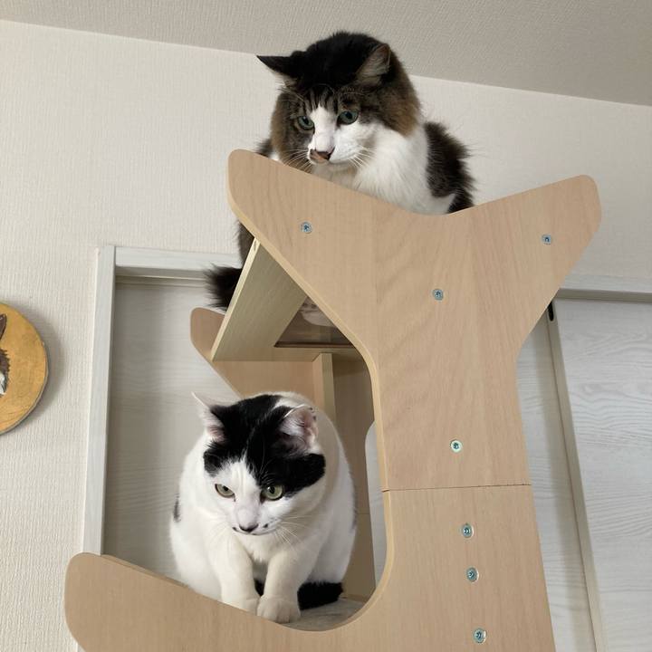 F84fd7b4 de75 48ea b775 2ff269fa7f02 1765242742341