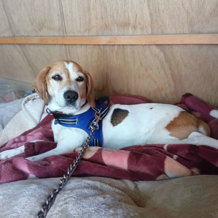 F8500036 ae14 47bf a50d 555599128aec 1742628602952