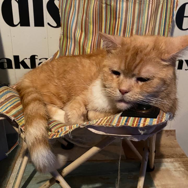 F850087b 280f 4049 bffe 09587f6a855b 1588761442696