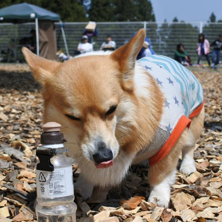 F8501b69 c2d8 4fae 8ccf ad09dab1fbbd 1525163346807