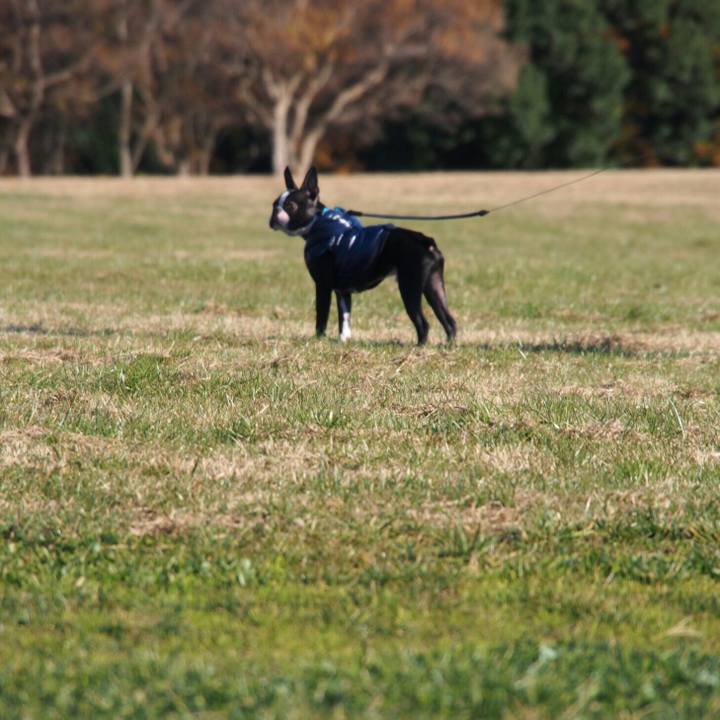 F8502a82 93fb 485a a959 48b1efc8fb8d 1512799942746