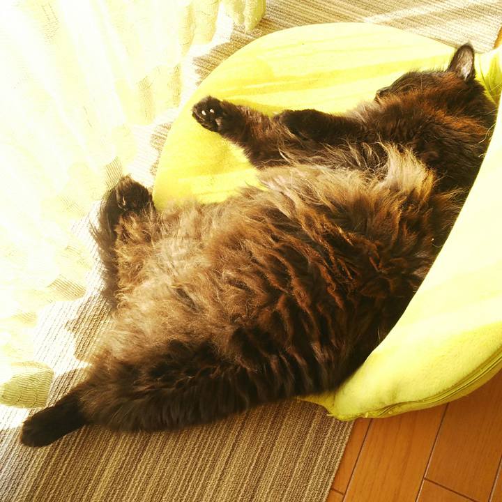 F8504b06 b222 458f 8e63 52a5a6eb40ae 1548897627802