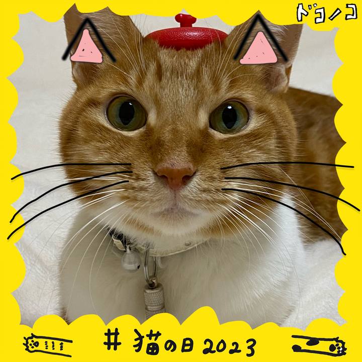 F8505e04 c201 4f65 b80e cfdf067d7c72 1677030620089