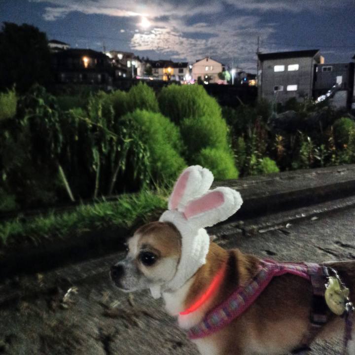 F8506302 5d16 4e68 9ebb 4a800d39370a 1662810199544