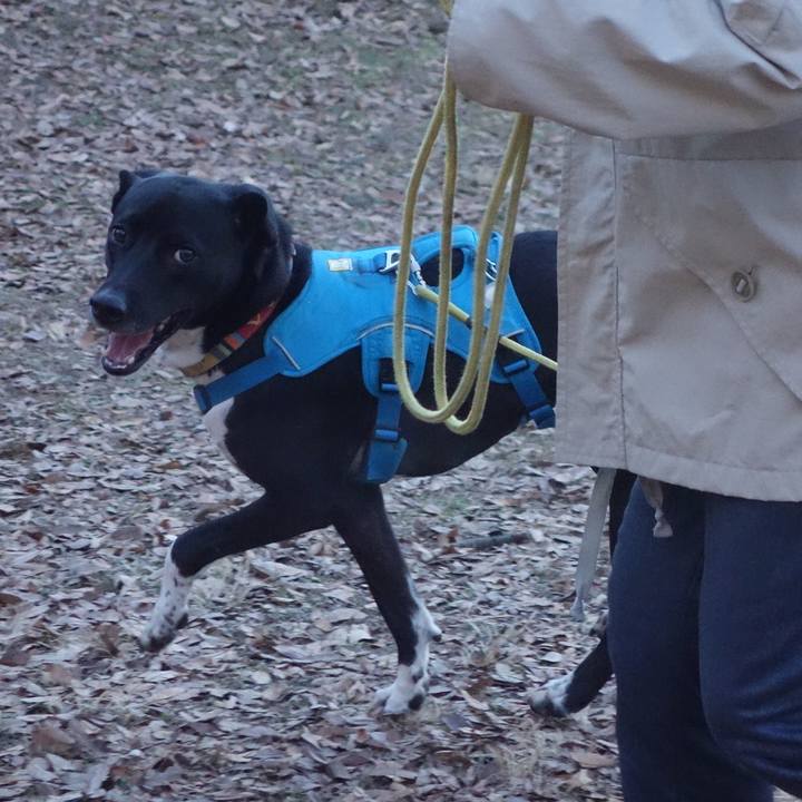 F85080a9 008b 4a60 b4d7 51dcbd6bfa0c 1609635831462