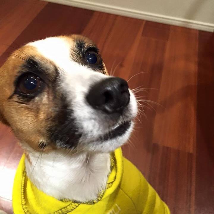 F8509e69 da46 4aef a7d9 0a951f454a0c 1665537338517