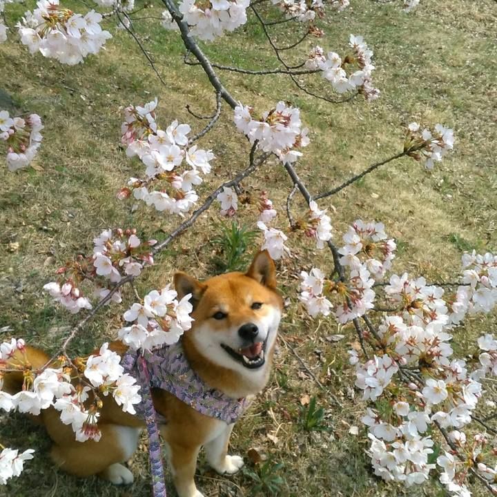 F850a03c 5fa8 4013 aefb 35df171ed83e 1522130503446