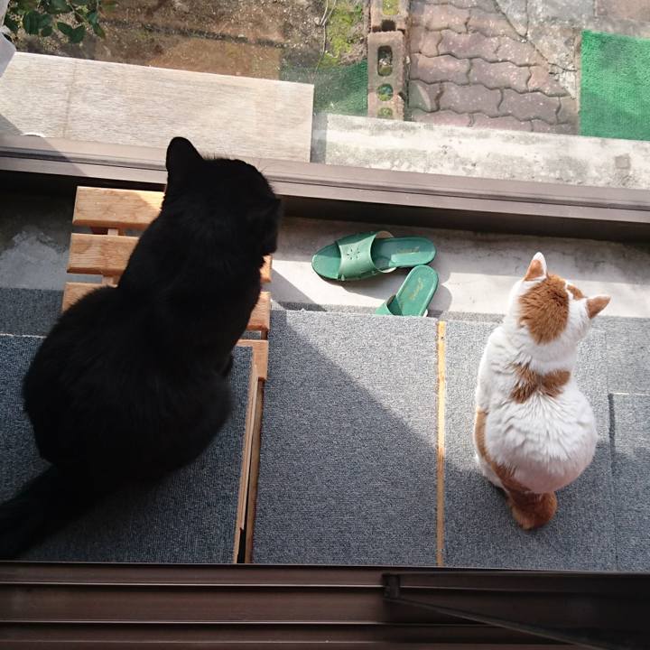 F850b6ee 6aba 4c27 9878 a24ebf7e311f 1557232934598