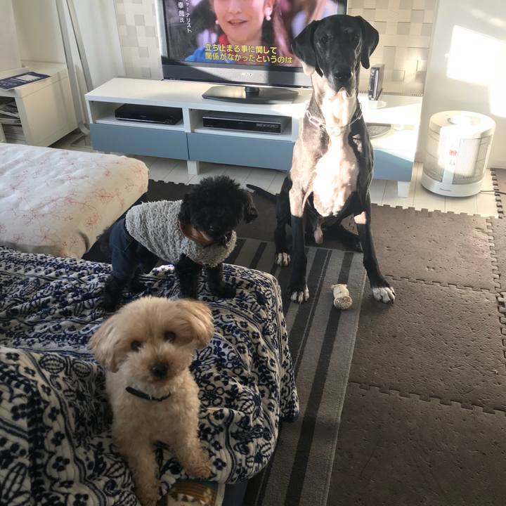 F850d6c5 eb8e 4cc5 bda9 30fe0203492a 1517958053261