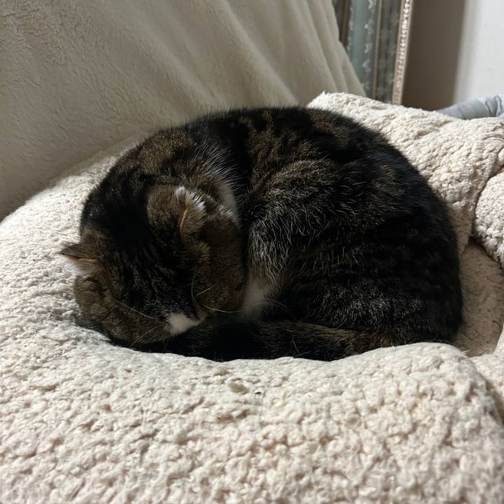 F85109d7 2999 4ffb 8a37 dfa844c6ea0d 1771107228271