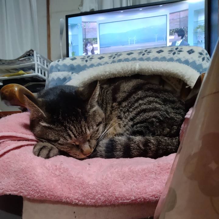 F8513f57 f8d3 4d4f b290 ad86b929d848 1679094725032