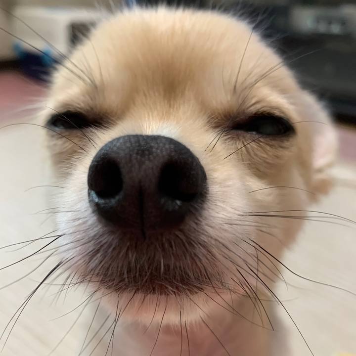 F8519563 ad2c 4f93 9004 49bd1587062e 1594081521452