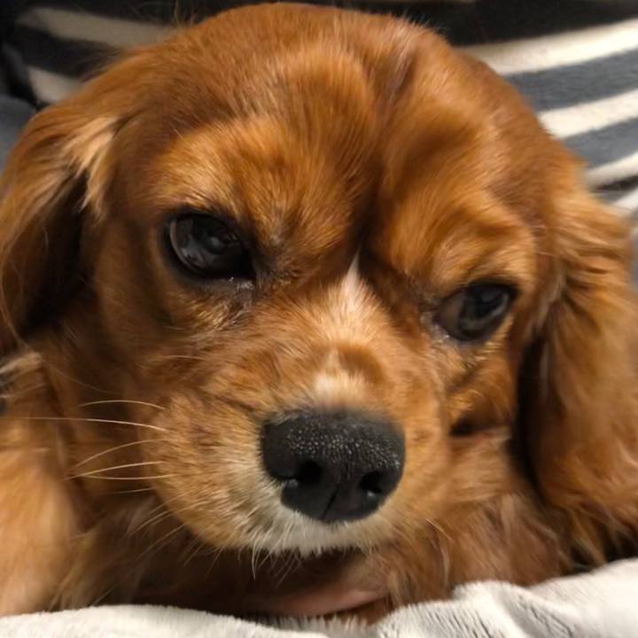 F85214b4 83fc 4f8e 9006 29e6a273fbd8 1548973521477