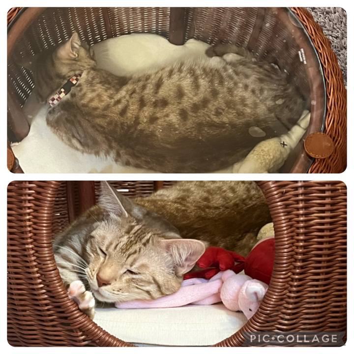 F8521798 71bc 46f1 8f5c adbbecd1cd0a 1673179466255