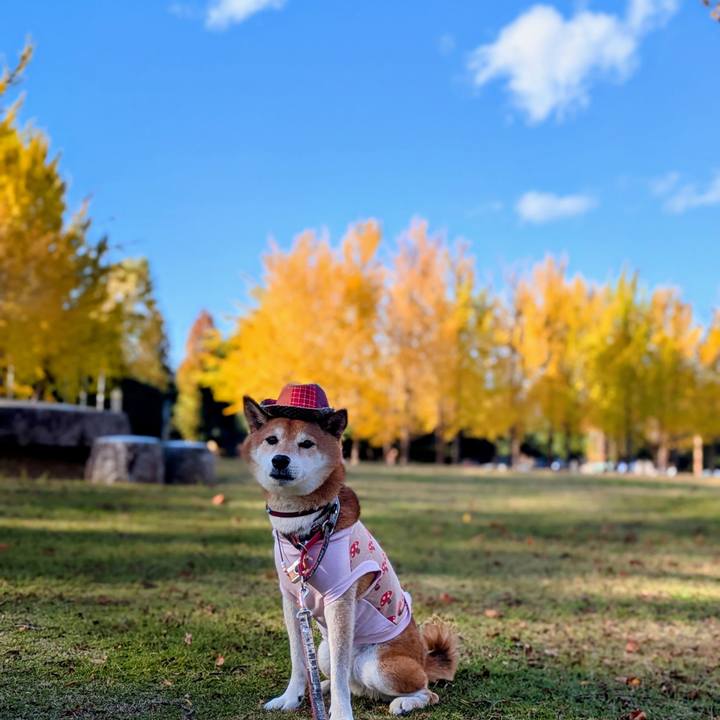 F85220ea f869 40d6 8a30 a809a550b6ca 1762997091340