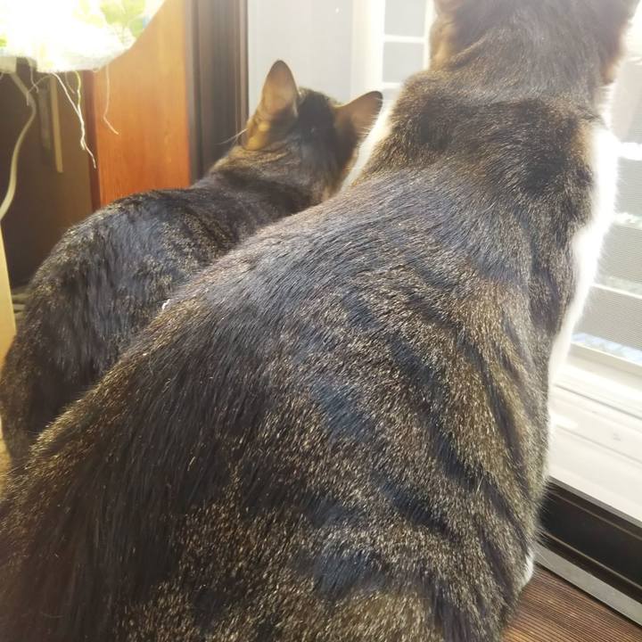 F8522c31 c815 46b2 89b9 4ec031df5be5 1602677524778