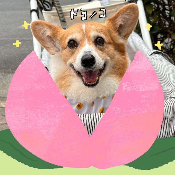 F85235a0 e380 4fad 8f8b ae05f4d32171 1771912558420