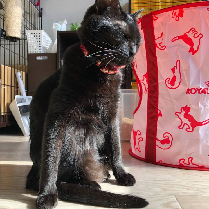 F85256de d99a 40c6 a34c 4b2f21ce1765 1525511104353