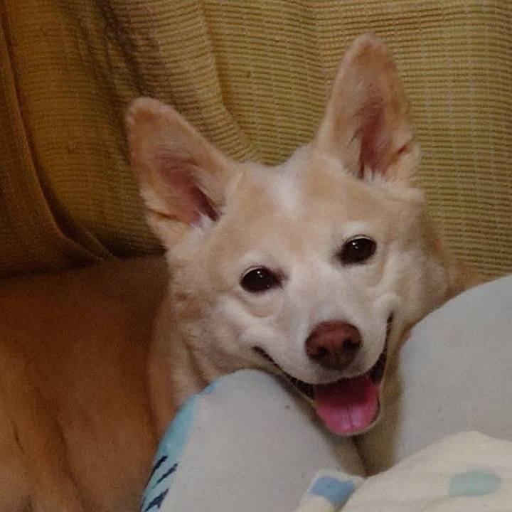 F8525f89 e0a6 4b2d b115 fe3f45116b8f 1587214769395