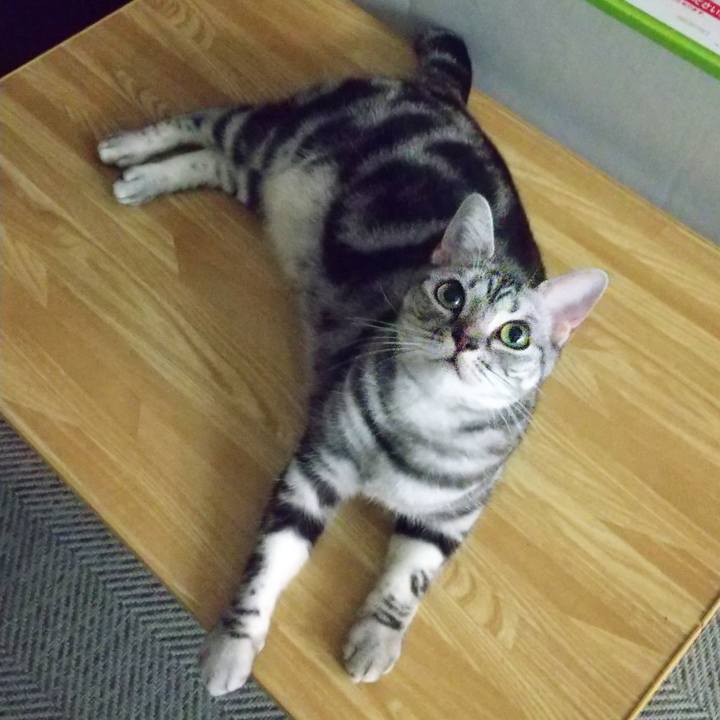 F85273da 34e3 4da3 a740 cc4724311d73 1633348640405