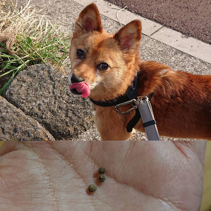 F85375d2 37c0 4bdf a773 a85cff08bcd2 1560207472547