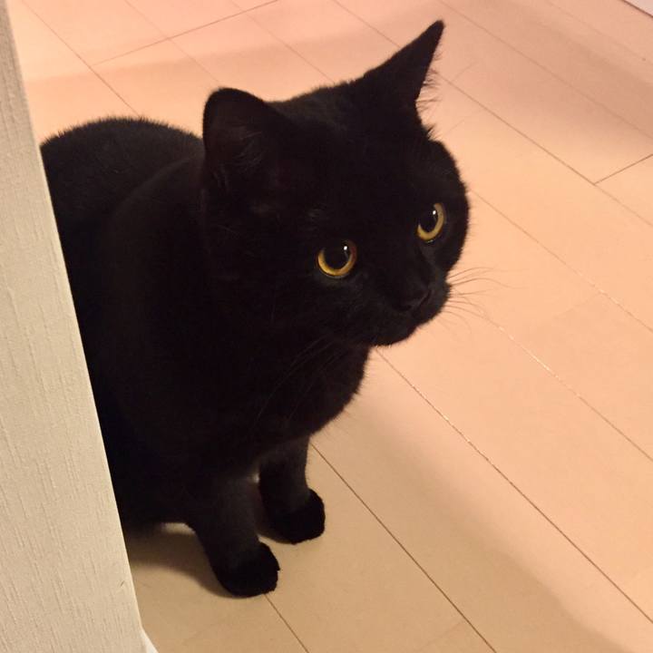 F853d22e 0318 48e6 a454 1b500d6cc196 1524313010112