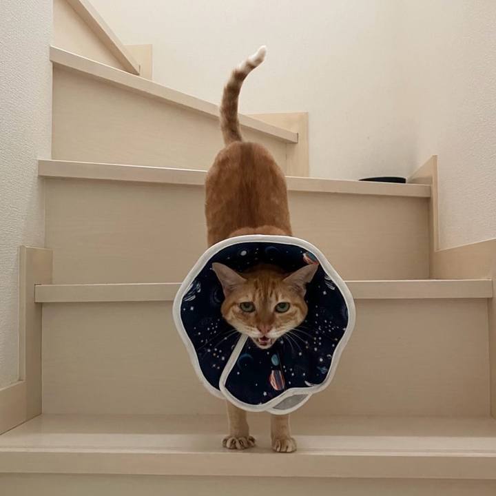 F853ec0d 29d5 4c11 b046 10944edc8ece 1758613800990