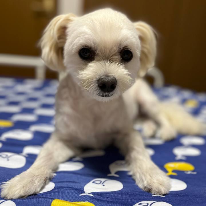 F853f5f1 cbad 47da 97d5 b8df356edad6 1663072409077