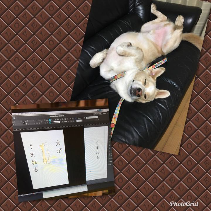 F8547163 8ada 4227 a81d 999aa8ab9af6 1539946313713