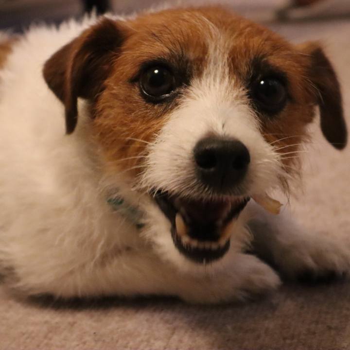 F8547549 9b0a 4fd6 afef c2f915dae901 1571482970311