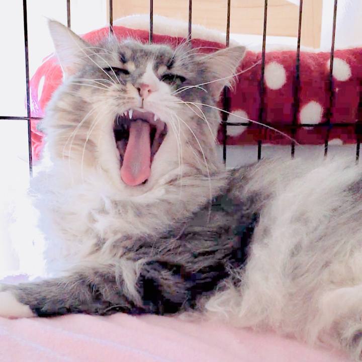 F8547fcf 6856 4b5a b512 3832599cffdf 1535679941700