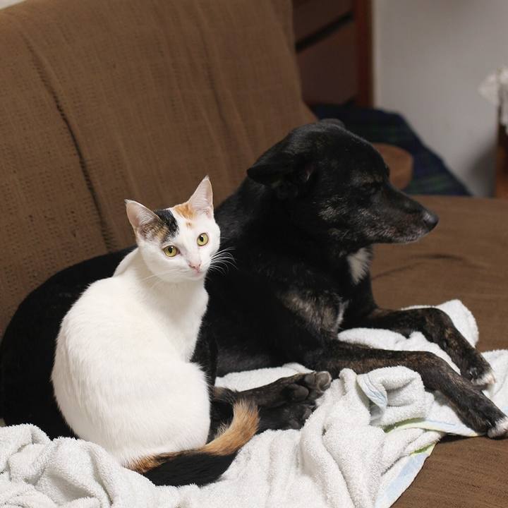 F8548edd fae0 4961 a42e 9effe6476a37 1563270031335