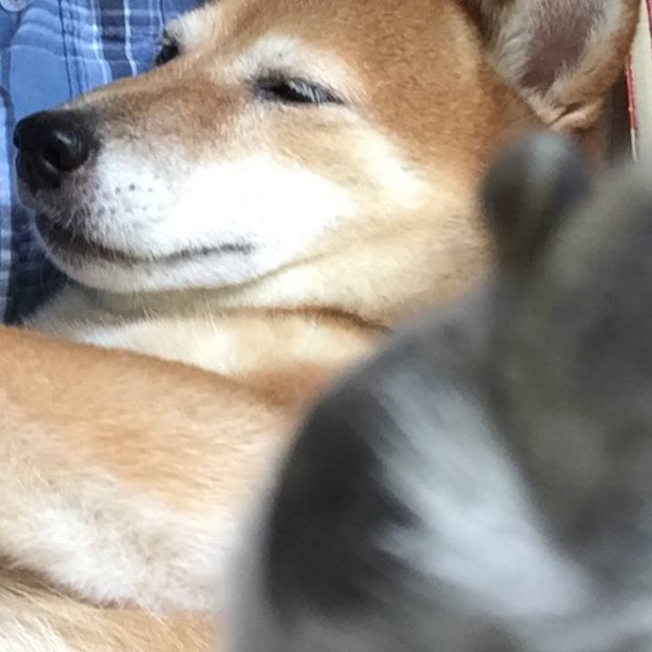 F85493a5 7f68 4848 9486 67221f9d653b 1567597784103