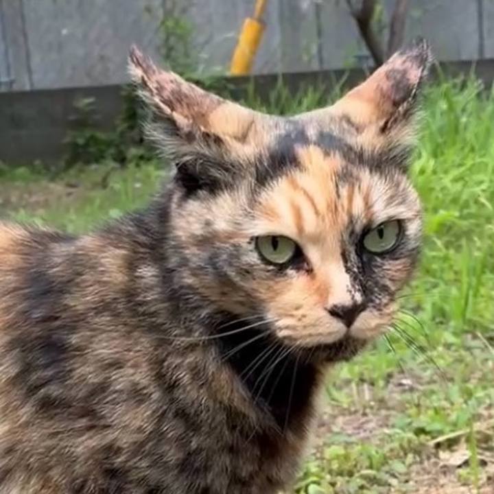 F855079c 3aed 4ca4 b5e8 047edea9b346 1749265198713