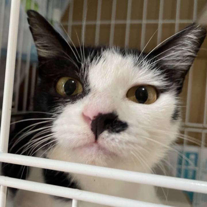 F8551b78 eb5b 4507 8679 2be3a8098b7f 1770788903703