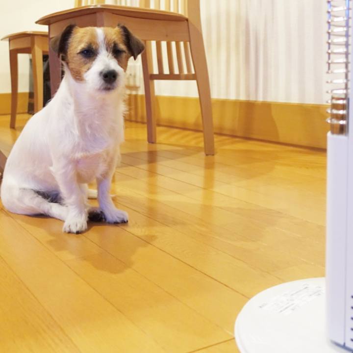 F8552dae e412 4c4b a203 2c21725a024d 1512651425503