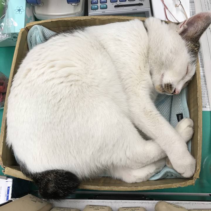 F8555be3 36d6 4d9e 8d75 473de69146fe 1511944568154