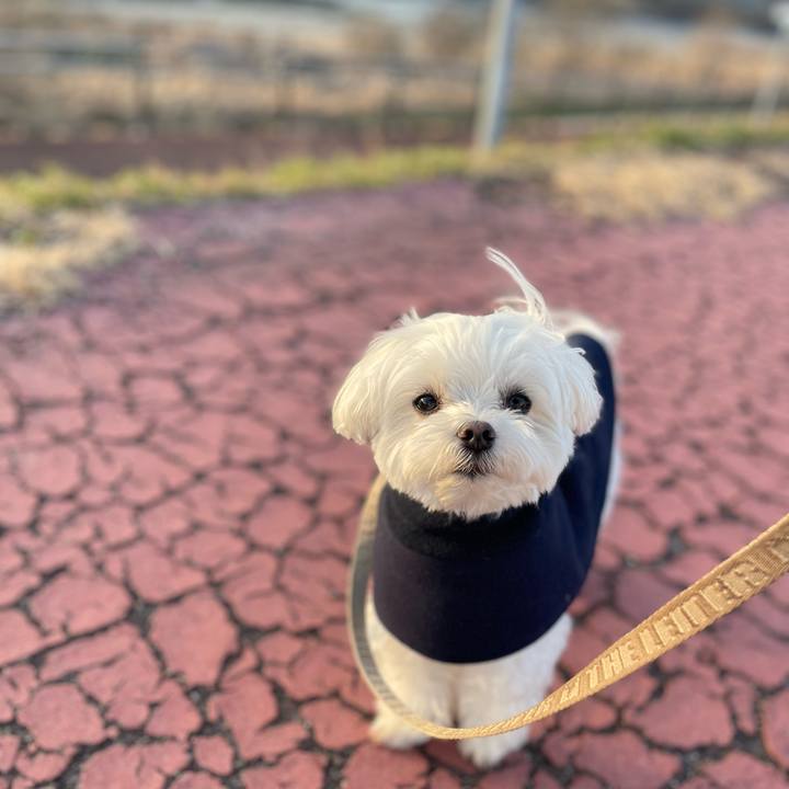 F855873d 6893 4086 82df cf7e7877b1b7 1768865171189