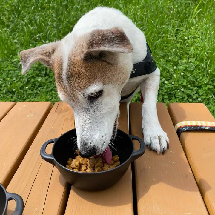 F855b256 86f4 47a9 b5bc 7f4989f2fd11 1621750424660