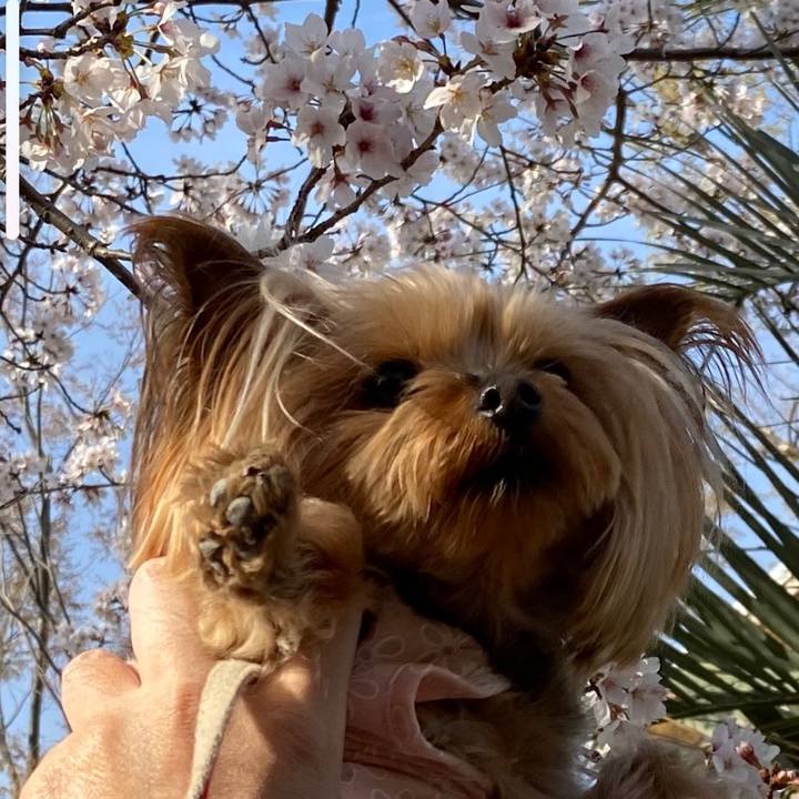 F856235c 2bd9 43ec 8a39 6e2ad2b1a5a6 1616900923494