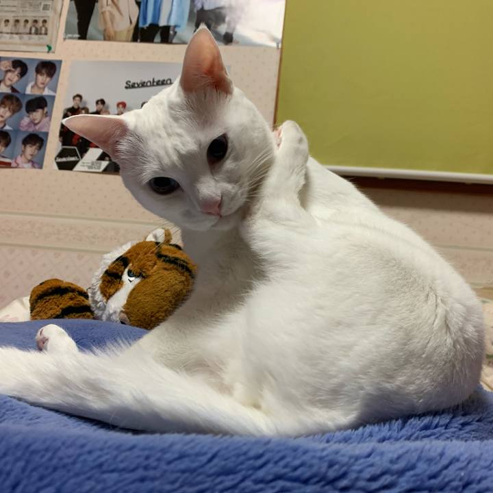 F856257f d0af 4d5e bae2 28a8d8301890 1581543363742