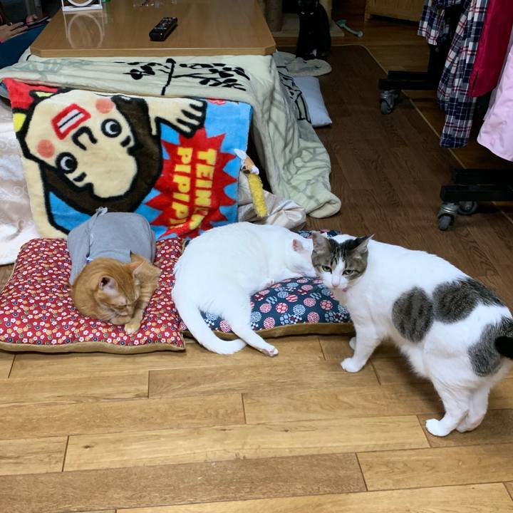 F8565193 a0c8 42c2 835a 761cf09176e0 1573819454908