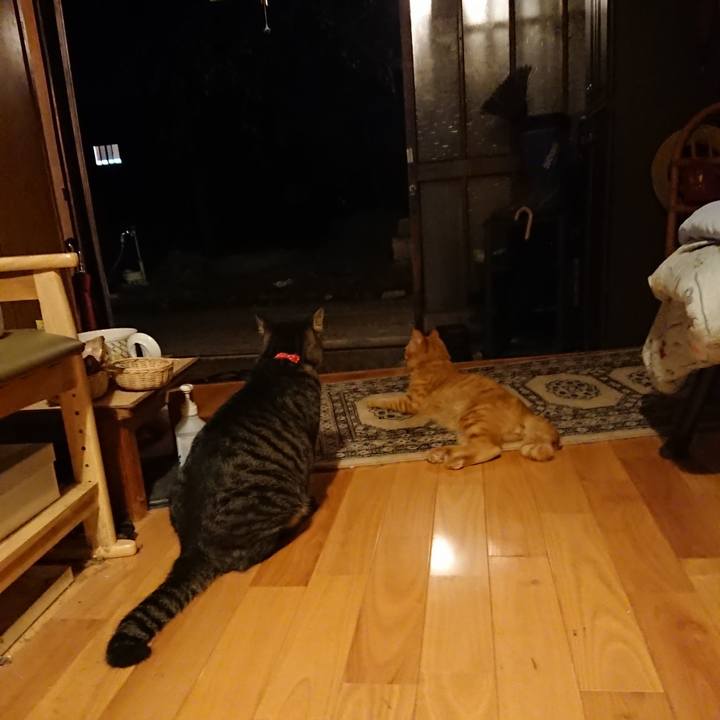 F85659ef 5ccf 40f1 a09b 02130c2da7b0 1662983775330