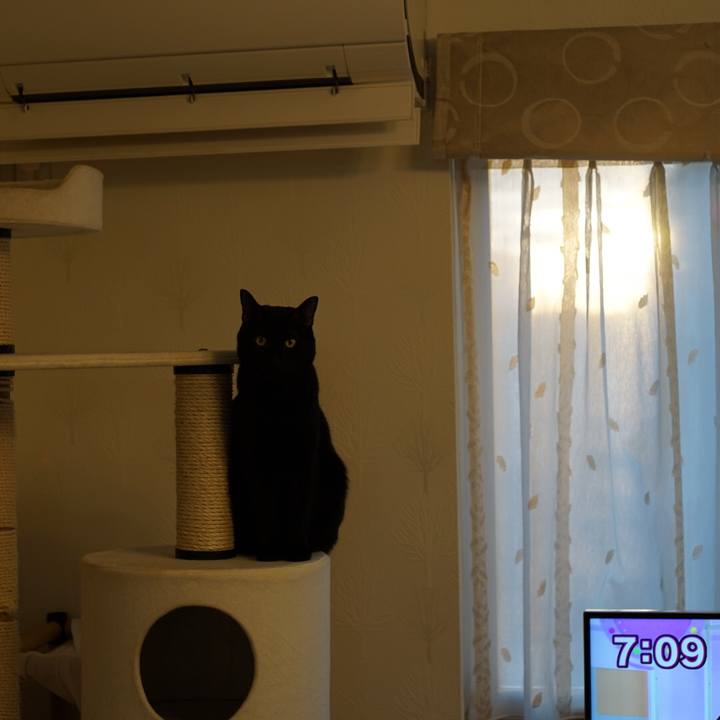 F8567938 3d5a 4127 90ca 7a4980b0f098 1513725919584