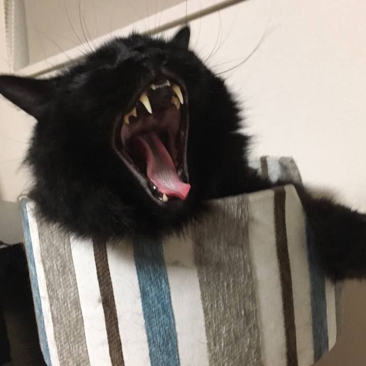 F856f689 b1e7 4415 8050 0718941fb1d9 1529428480458