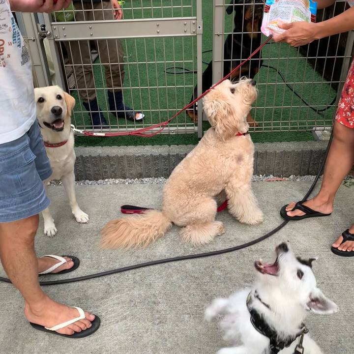 F8575754 2266 4932 9308 26be4125c20d 1720255135537