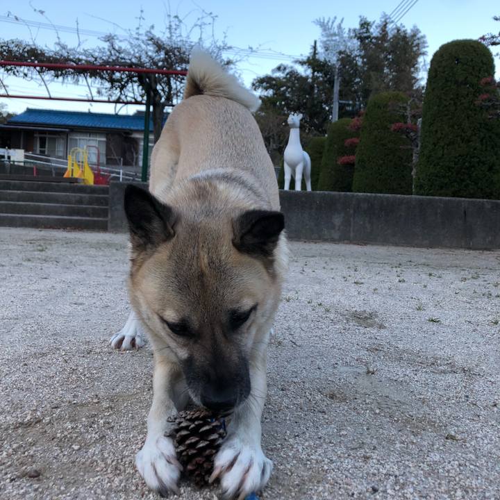 F857789d 5997 4fd6 8b21 7fe5b7ca019b 1607166400426