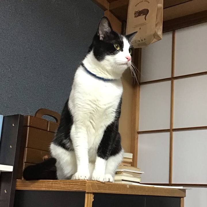 F857807f c0ed 44b5 89c7 acd6444af6a9 1709124023331