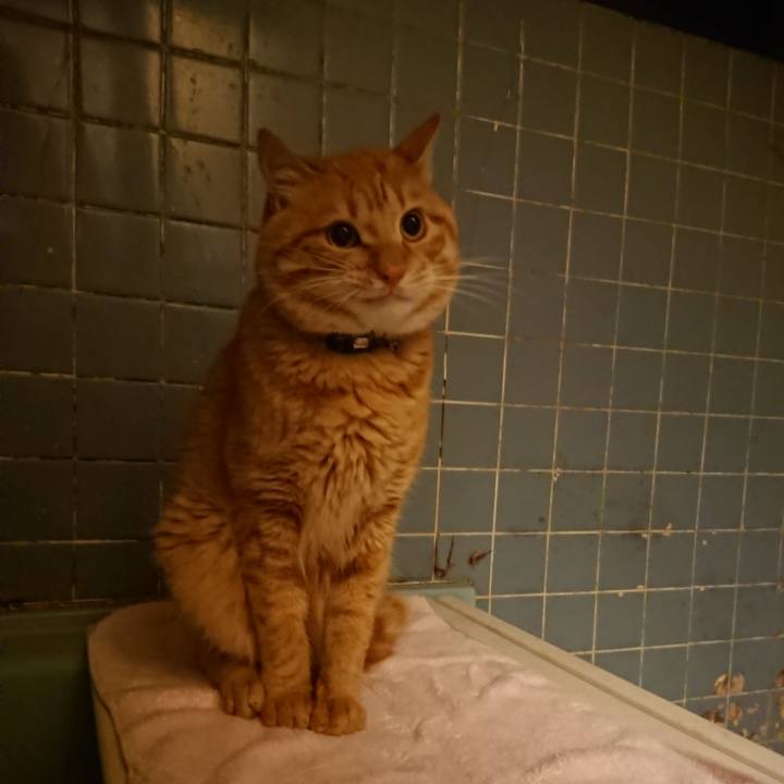 F8578e94 6b48 4c68 ae74 91e3db4370cd 1654601981785