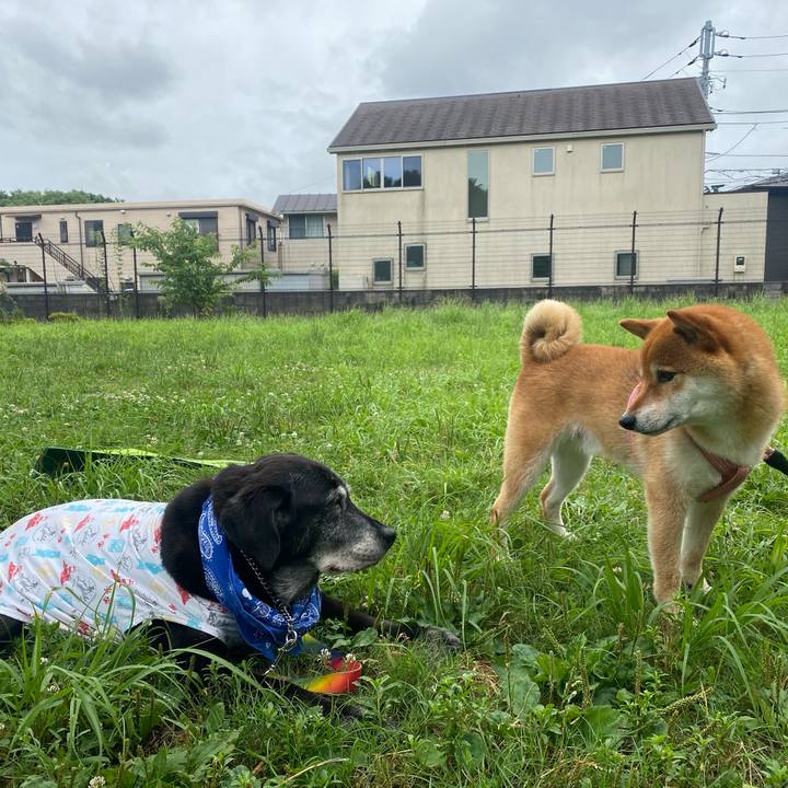 F857bbd9 24d4 478d 82f9 b5a484c33d31 1750771128176